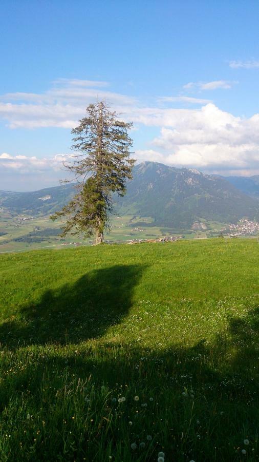 Ferienwohnung Schoenau Immenstadt im Allgäu Exteriör bild